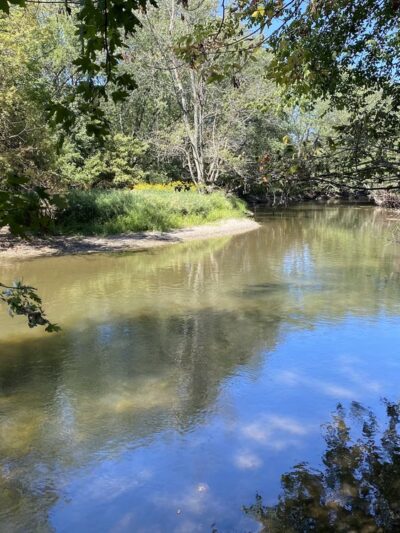 Brookfield Woods - Brookfield, IL