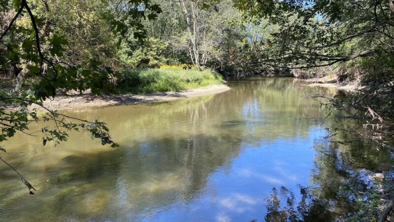 Brookfield Woods - Brookfield, IL
