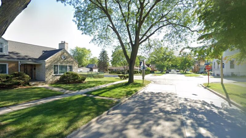 Pet-Friendly Park & Agility - Brookfield, IL