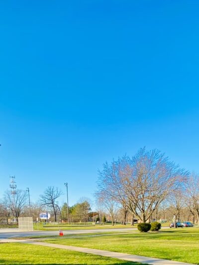 Roy A. Overholt Field - Brookfield, IL