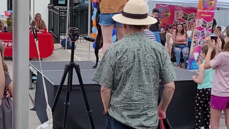 Puppy Haven - Brookhaven - Brookhaven, GA