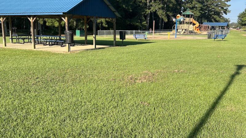 Brookhaven City Park - Brookhaven, MS
