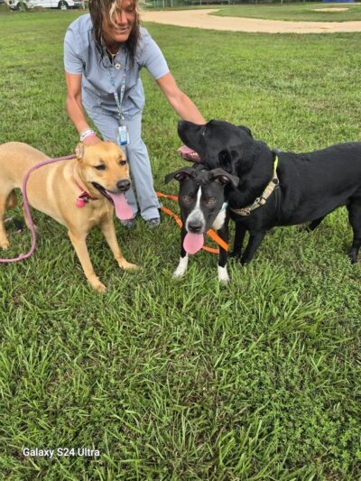 Brookhaven Memorial Park - Brookhaven, PA