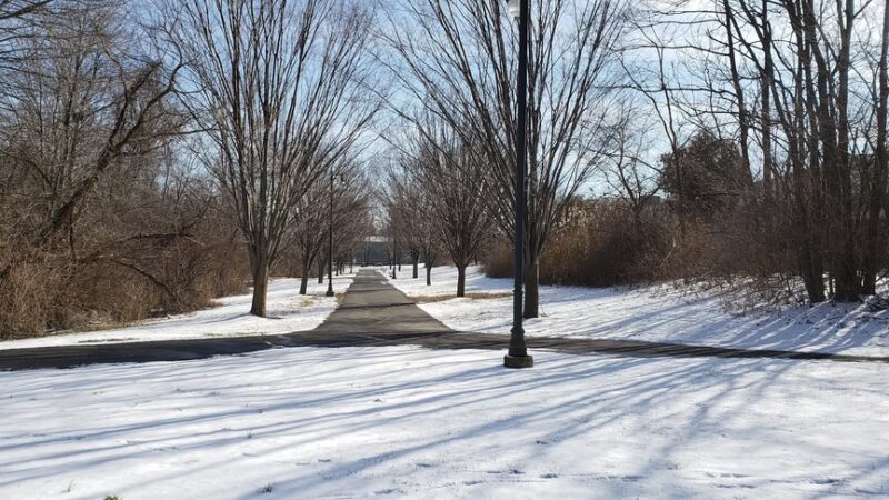 Brookhaven Memorial Park - Brookhaven, PA