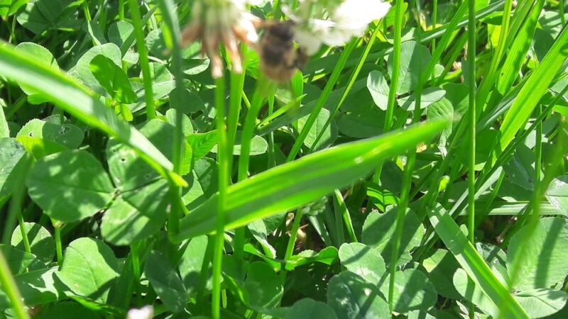 Sommerville Park - Brookhaven, PA