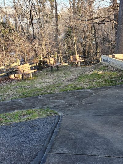 Woodlot Park - Brookhaven, PA