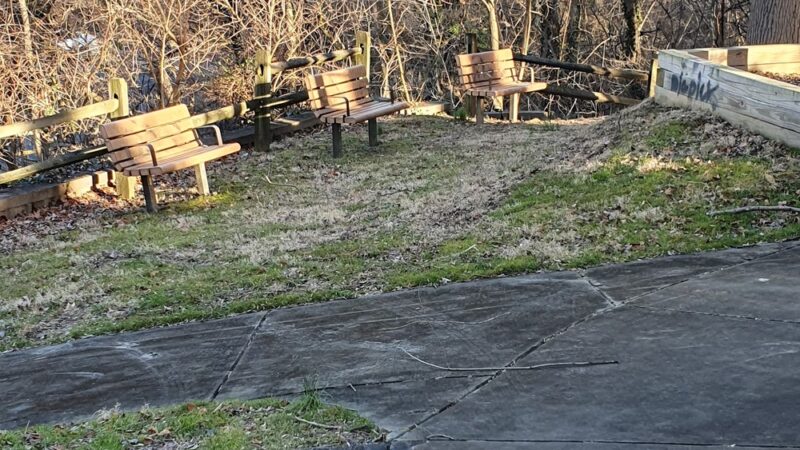 Woodlot Park - Brookhaven, PA