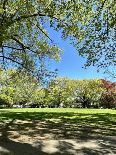 Emerson Garden - Brookline, MA
