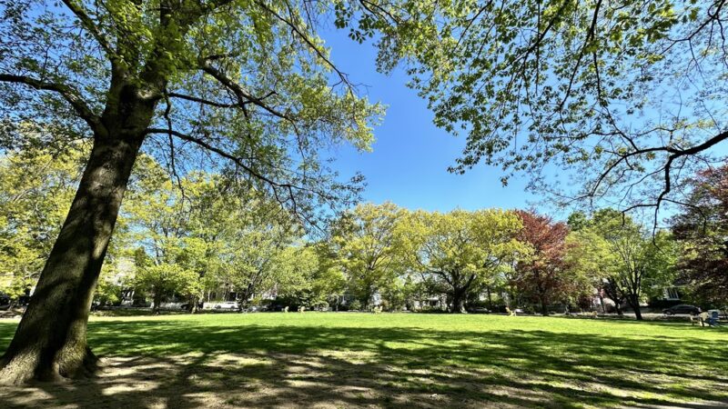 Emerson Garden - Brookline, MA
