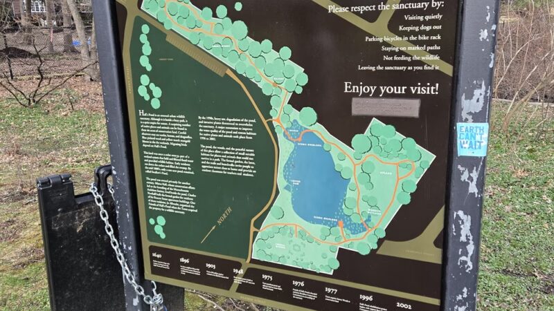 Hall's Pond Sanctuary - Brookline, MA