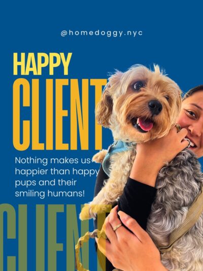 Homedoggy 2 - Brooklyn, NY