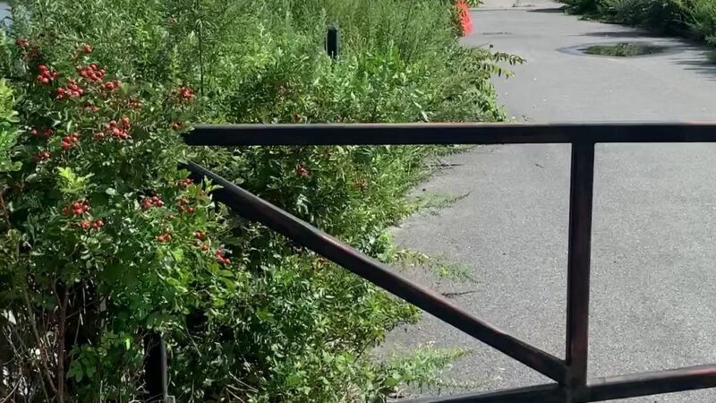 Penn Dock - Brooklyn, NY