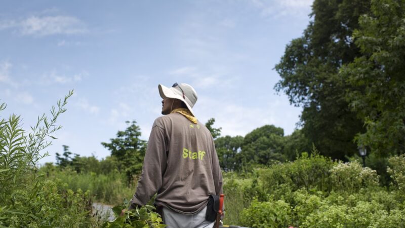 Prospect Park Alliance - Brooklyn, NY