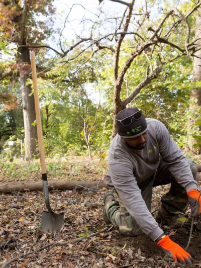 Prospect Park Alliance - Brooklyn, NY