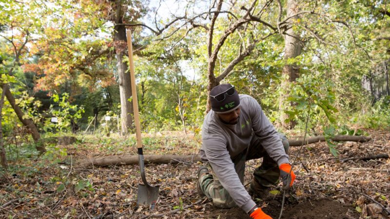 Prospect Park Alliance - Brooklyn, NY