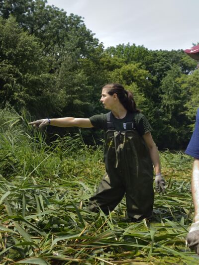 Prospect Park Alliance - Brooklyn, NY