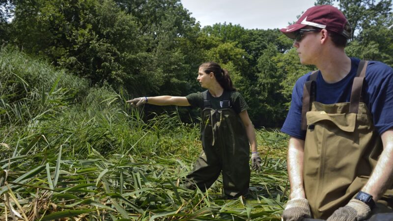 Prospect Park Alliance - Brooklyn, NY