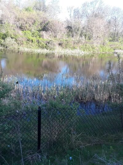 Arundel Village Park - Brooklyn Park, MD