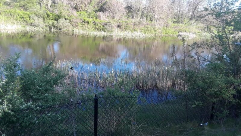 Arundel Village Park - Brooklyn Park, MD