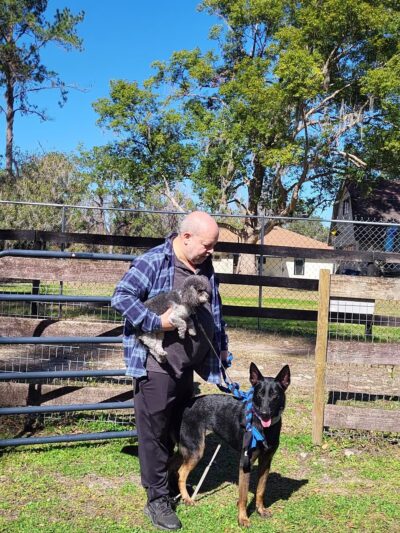 Backyard Dog Racing League - Brooksville, FL
