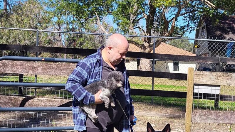 Backyard Dog Racing League - Brooksville, FL