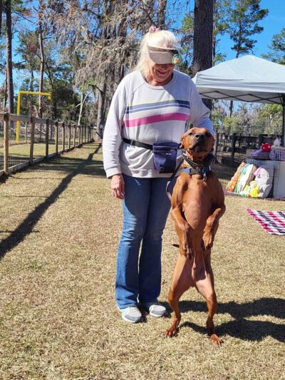 Backyard Dog Racing League - Brooksville, FL