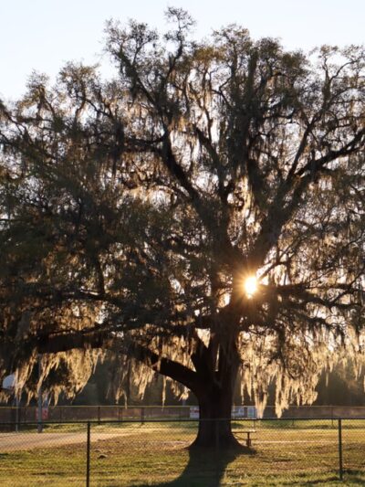 Kennedy Park - Brooksville, FL