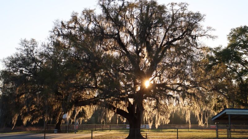 Kennedy Park - Brooksville, FL