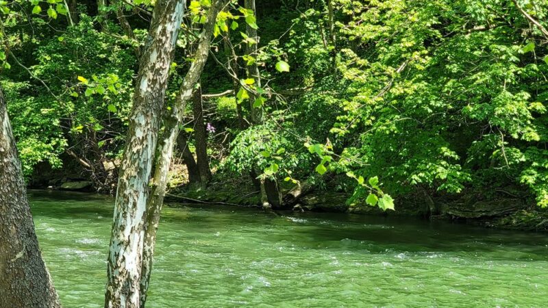 Brookville Town Park - Brookville, IN