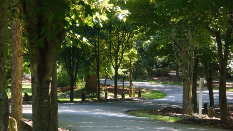 Brookville Town Park - Brookville, IN
