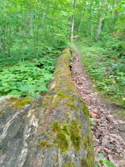 Eagle Trailhead - Brookville, IN