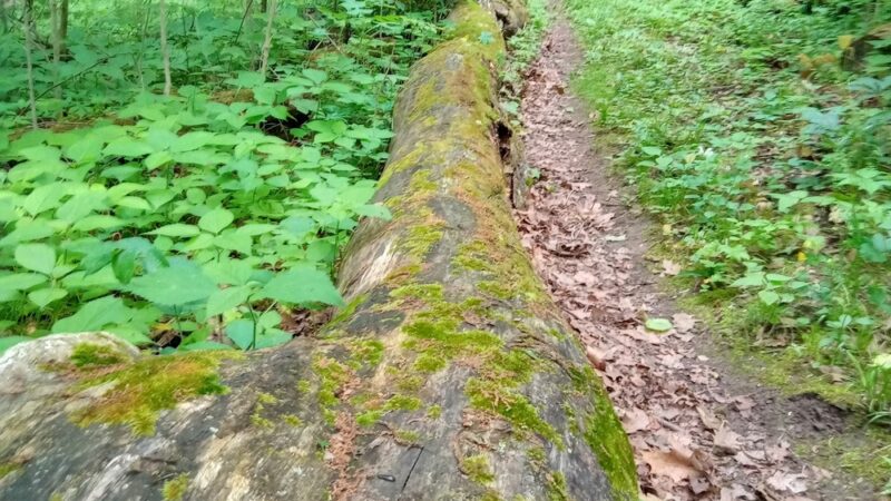 Eagle Trailhead - Brookville, IN
