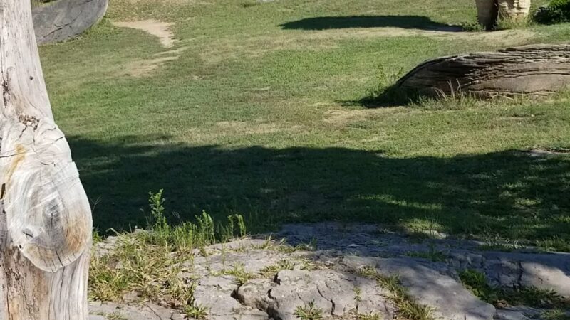 Mushroom Rock State Park - Brookville, KS