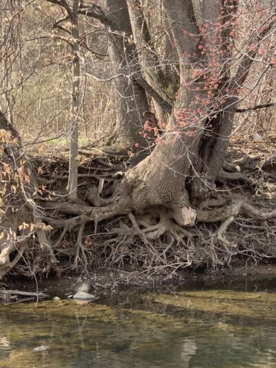 Park with fort - Broomall, PA