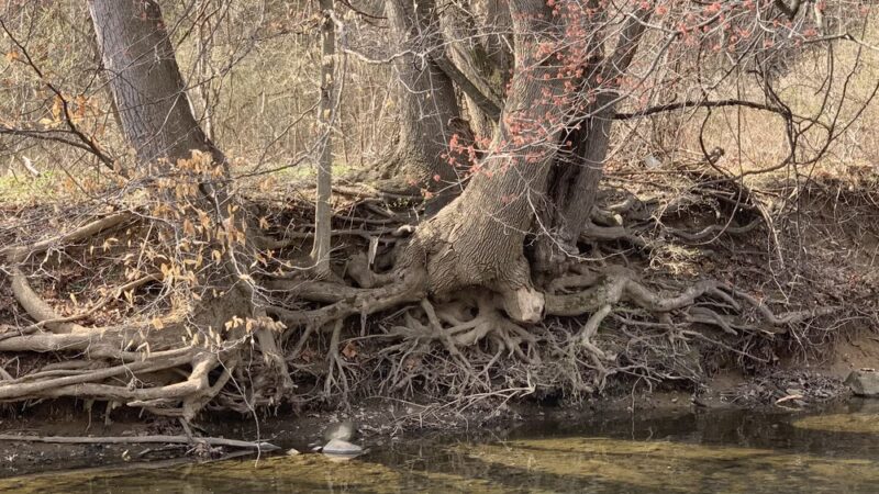 Park with fort - Broomall, PA
