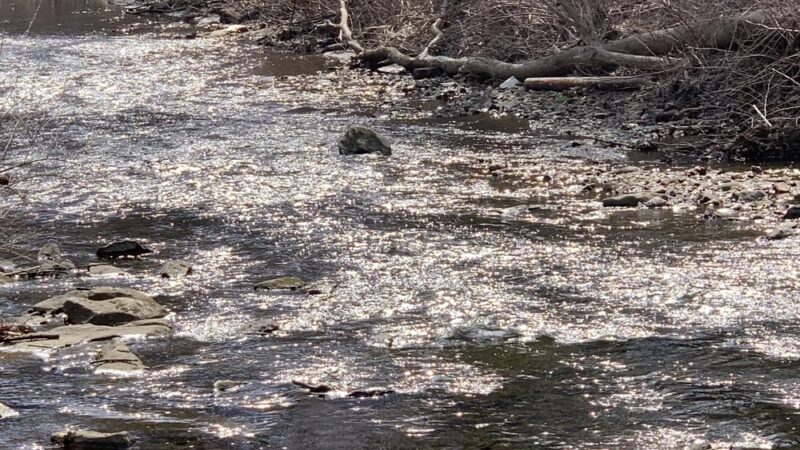 Park with fort - Broomall, PA