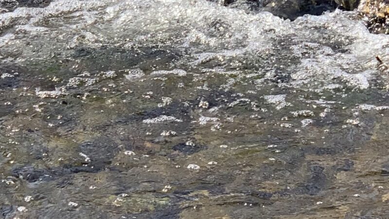 Park with fort - Broomall, PA