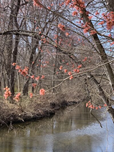 Park with fort - Broomall, PA