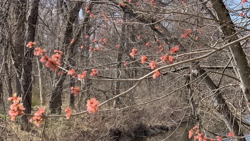 Park with fort - Broomall, PA