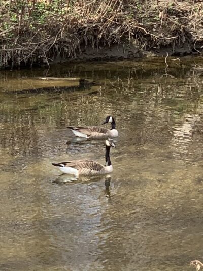 Park with fort - Broomall, PA