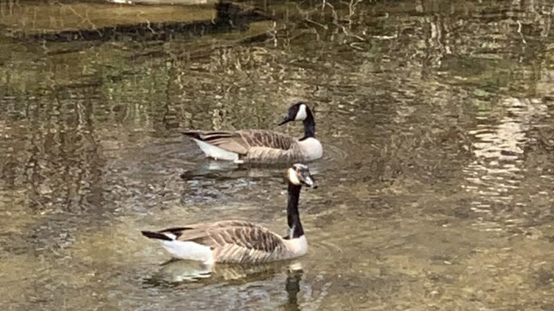 Park with fort - Broomall, PA
