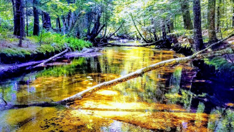 Brownfield - Brownfield, ME