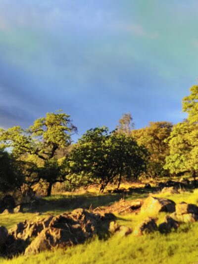 Browns Valley - Browns Valley, CA