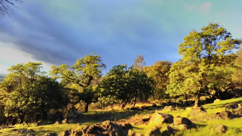 Browns Valley - Browns Valley, CA