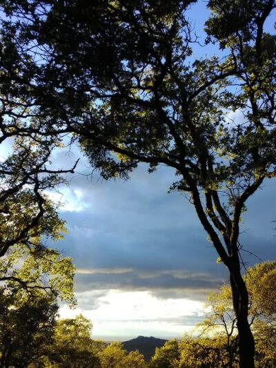 Browns Valley - Browns Valley, CA