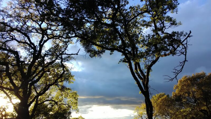 Browns Valley - Browns Valley, CA