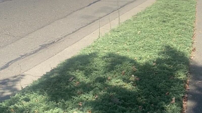 Browns Valley - Browns Valley, CA