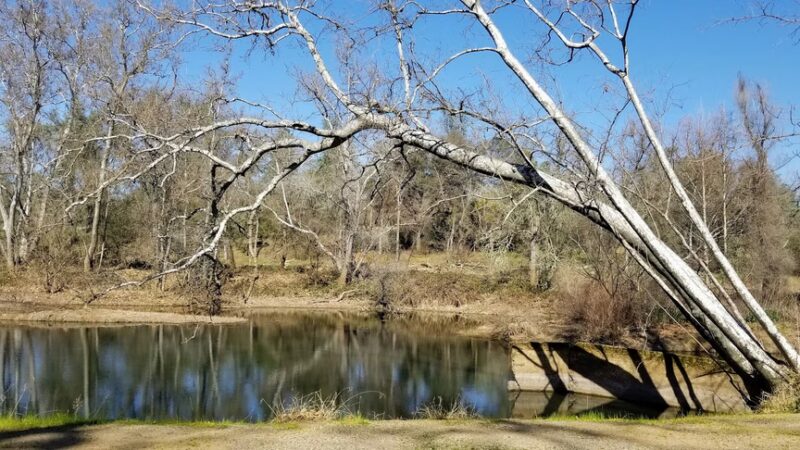 Friendship Park - Browns Valley, CA