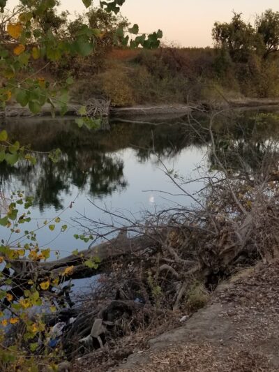 Friendship Park - Browns Valley, CA