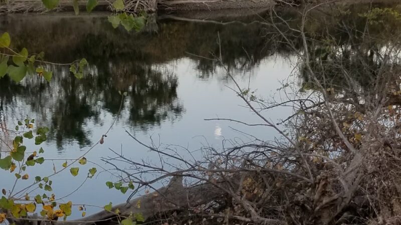 Friendship Park - Browns Valley, CA